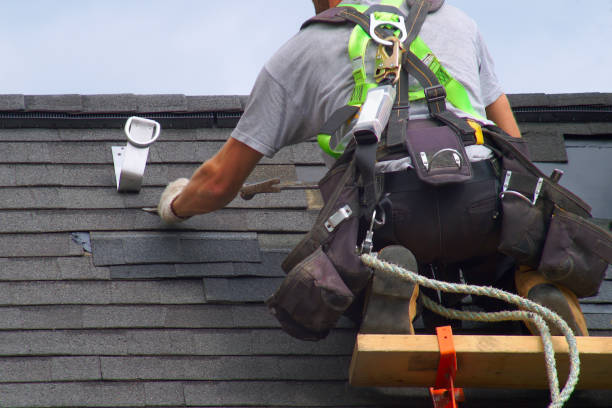 Best Roof Gutter Cleaning  in Marion, SC