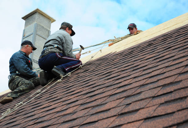 Best Roof Gutter Cleaning  in Marion, SC